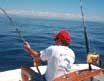 sport fishing in jaco beach costa rica